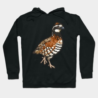 Northern Bobwhite Hoodie